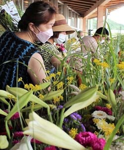 新鮮な盆花が並んだ花市