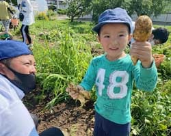 ジャガイモ堀りを楽しむ親子