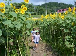 走り回って迷路に挑戦する園児