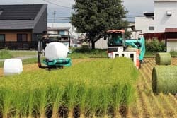 専用の収穫機によるWCS用稲の刈り取り作業（8月24日、佐久市三河田圃場）