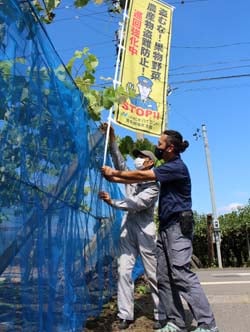 ほ場にのぼり旗を設置する百瀬支部長（右）ら（29日、塩尻市で）