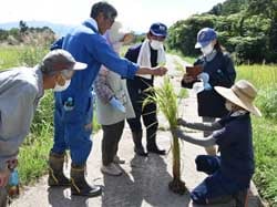 審査員(右)から、異形の見分け方を教わる生産者（立っている人たち）