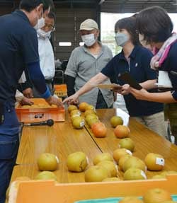 見本の梨を前に意見を交わす生産者（8日　松本市で）