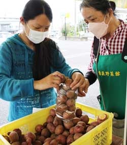 アドバイスを受けながらじゃがいもの詰め放題を楽しむ来店客（左）
