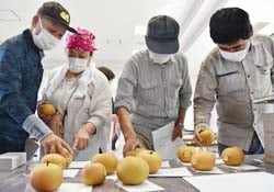 品質検査をされたナシを確認する生産者