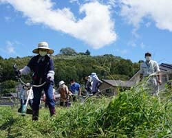 刈払機を使い草刈り作業を体験する参加者