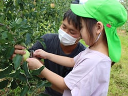 園児にシールの貼り方を指導する青年部員