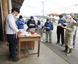 クイーンルージュの出荷に向け熱心に聞き入る生産者
