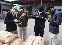 検査を行うJA農産物検査員