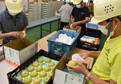 ひとつずつ熱心に検品・荷造りをする施設利用者