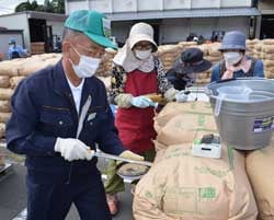 「穀刺し」を刺して米を取り出す農産物検査員