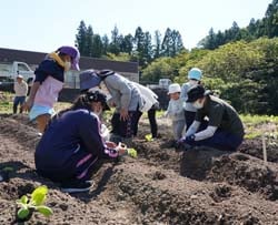 農作業を楽しむ参加者