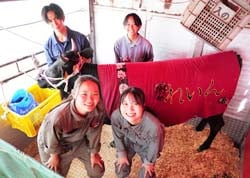 「れいん」と世話をするあぐり研究班の3年生
