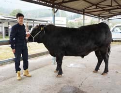 8区（去勢肥育牛）県代表の和牛「宗6」と吉川秀之さん