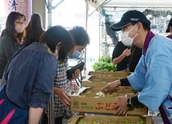 多くの人が旬の「山清路ぶどう」を買い求めた