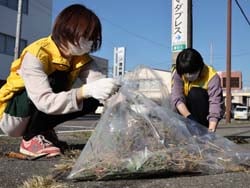 一斉に美化活動に励む職員