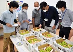 カラーチャートを使い1点ずつ丁寧に審査する審査員