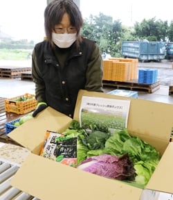 朝採りした野菜を手に取る部会員