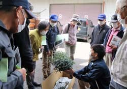 ユーカリの規格を確認する生産者ら