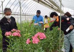 改植に向けて品種を確かめる生産者ら