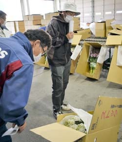 出荷基準を確認する生産者ら