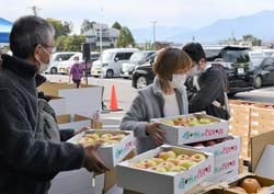 リンゴを品定めする来場者