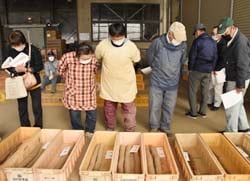 等階級を確認する生産者
