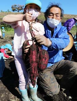 採れたばかりのサツマイモをうれしそうに持ち上げる園児と上條担当理事（26日朝日村にて）