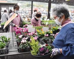 花を選ぶ女性部員