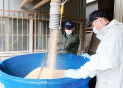 破砕もみに乳酸菌入りの水を加えるSGSの製造作業