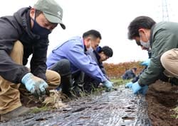 会話をしながらタマネギの定植を行う百瀬支部長（左）ら