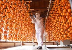 ひとつひとつ丁寧につくる柿のれん