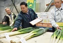 白ネギの状態を確認する審査員ら