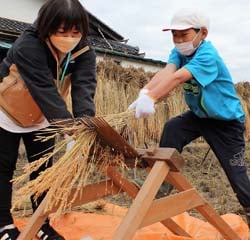 千歯こきを使う児童（11月1日、佐久市田口で）