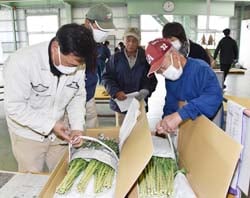 「胴締め」の緩まないコツを共有