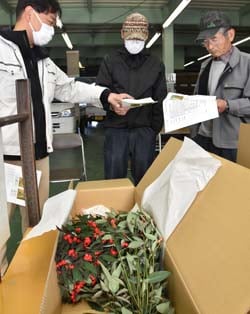 出荷規格を確認するJAと生産者