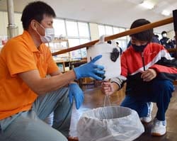 搾乳マシンで体験する生徒