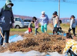 豆こなしをする子供たち
