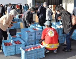 品定めする来場者（11月26日、長野県上田市殿城）