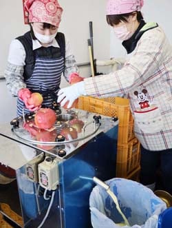 清掃後、機械の動作確認でりんごジュースをつくる職員