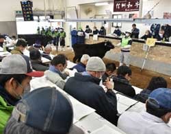 年末の肉需要期で活発な取引となった12月市場