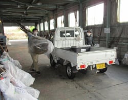 トラックに苗木を積み込む生産者
