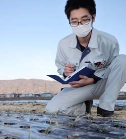 減肥試験を行うタマネギのほ場の生育状況を確認する北澤営農指導員（長野県諏訪市で）