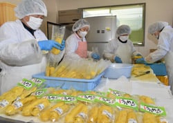 袋詰め作業をするメンバーら
