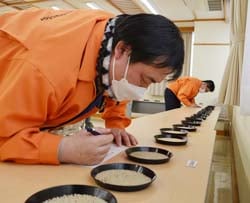 真剣な表情で玄米を見極める検査員