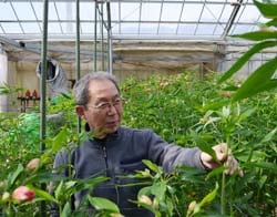 花の様子を確認する酒井さん
