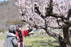 生産者が花の状況を来場客に説明