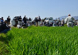 生育状況を確認する生産者