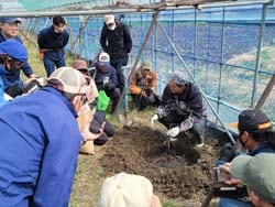 植え付けの実演をする様子