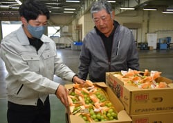 持ち込んだシャインマスカットを営農技術員と確認する太田さん(写真右)